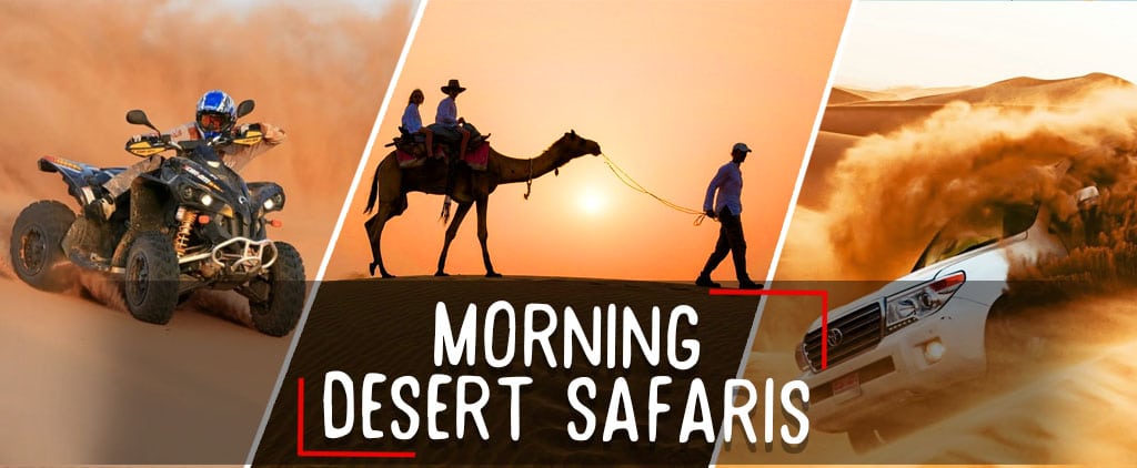 Morning Desert Safari - thedesertsafaris