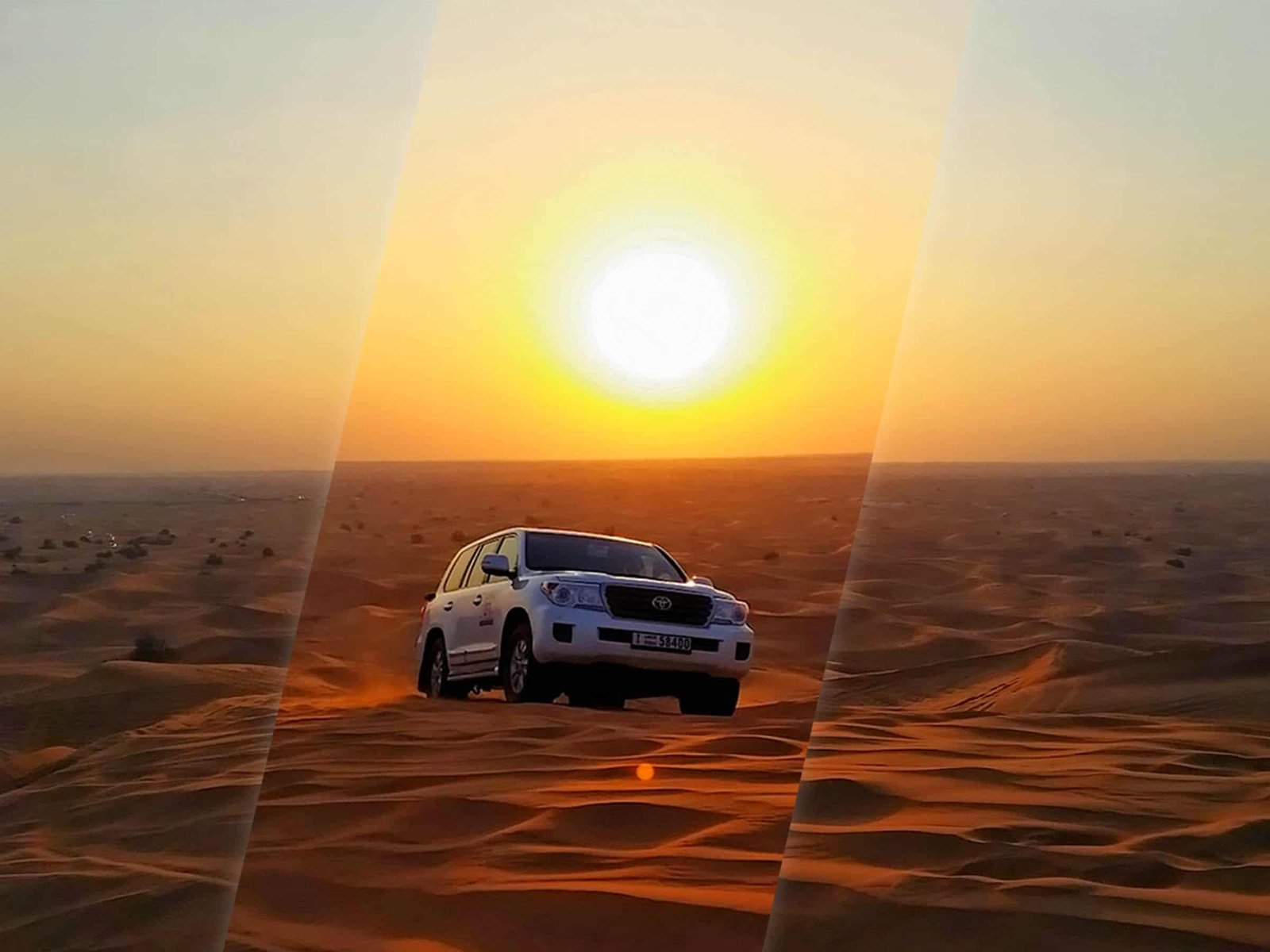 morning desert safari-thedesertsafaris