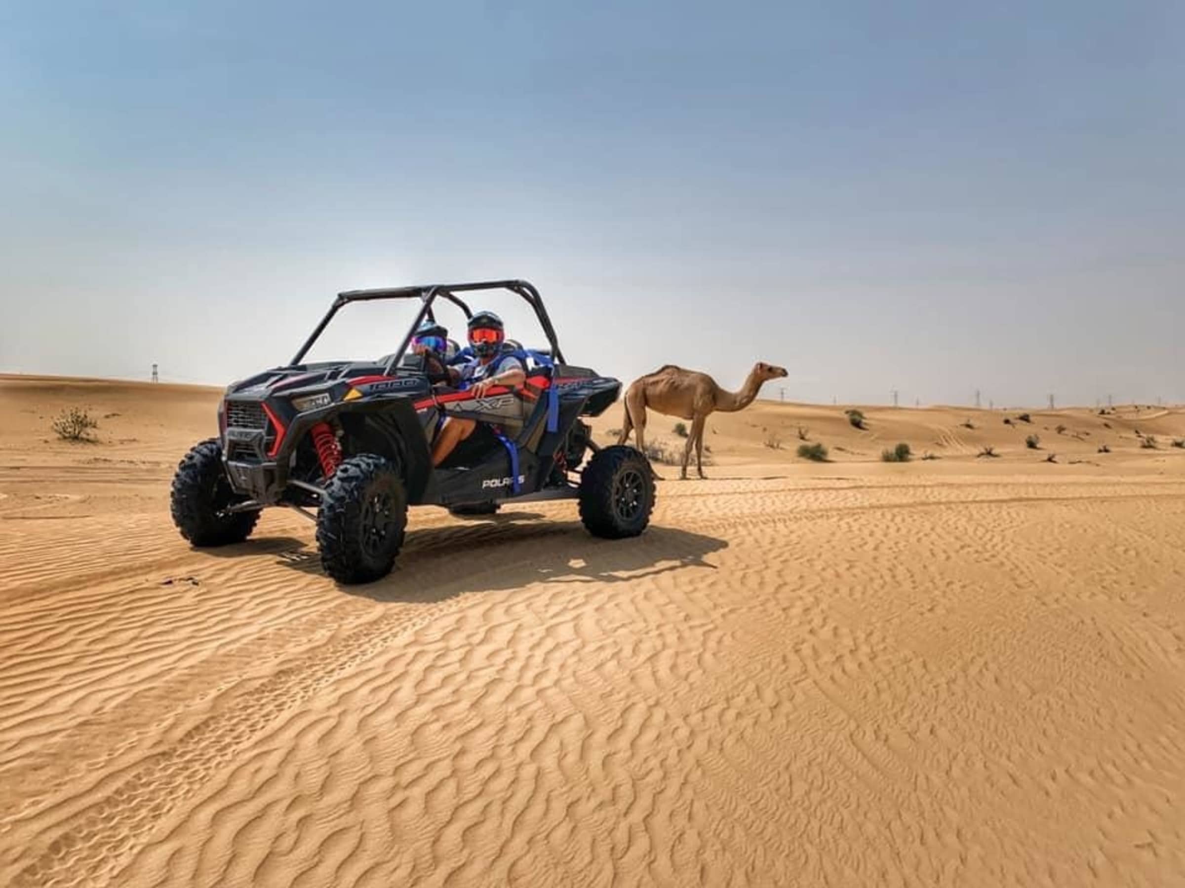 Read more about the article What Type of Dubai Desert Safari Packages are Available for you to Choose in 2023?