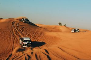 desert safari trips dubai-thedesertsafaris