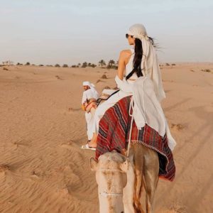 Desert Safari - thedesertsafaris