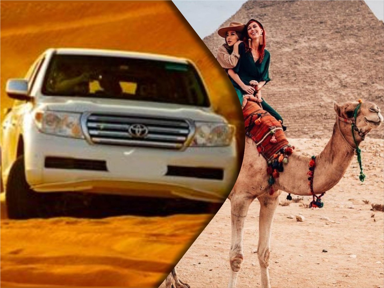 You are currently viewing How to Choose Perfect Dubai Desert Safari Tour Company