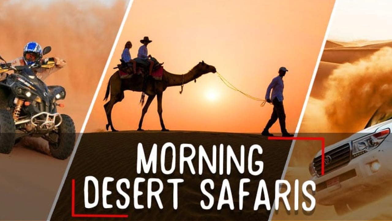 Morning-desert-safari-tour